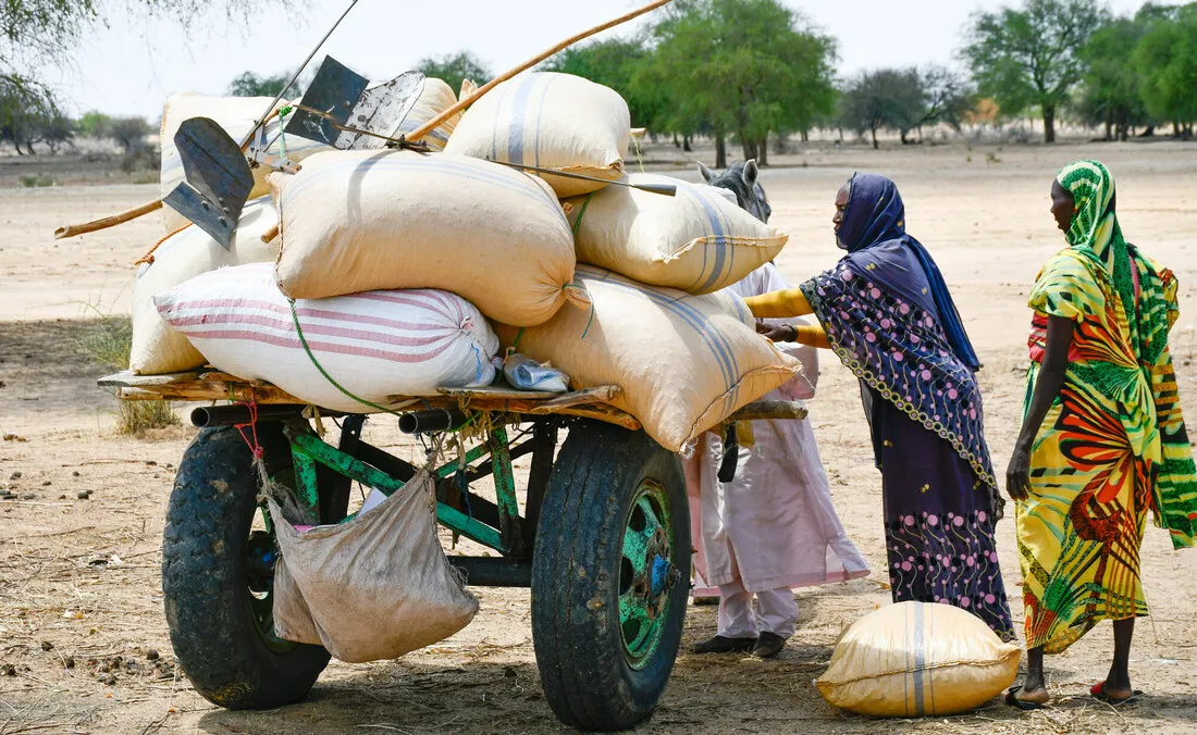 Women loading big white bags on top of a cart in a desert-type environment.